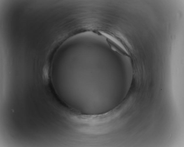 X0000090730023200707201418