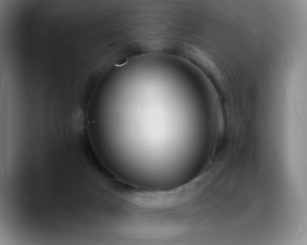 X0000090730025200707201418
