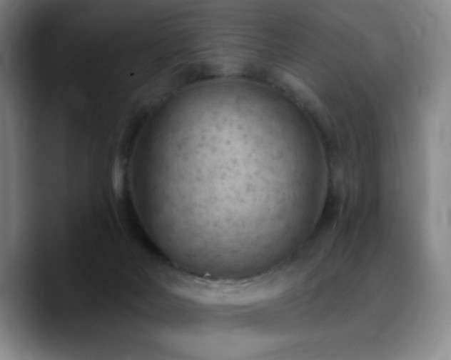 X0000090730026200707201418