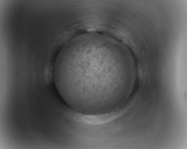 X0000090730030200707201418