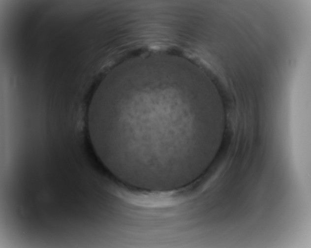 X0000090730032200707201418