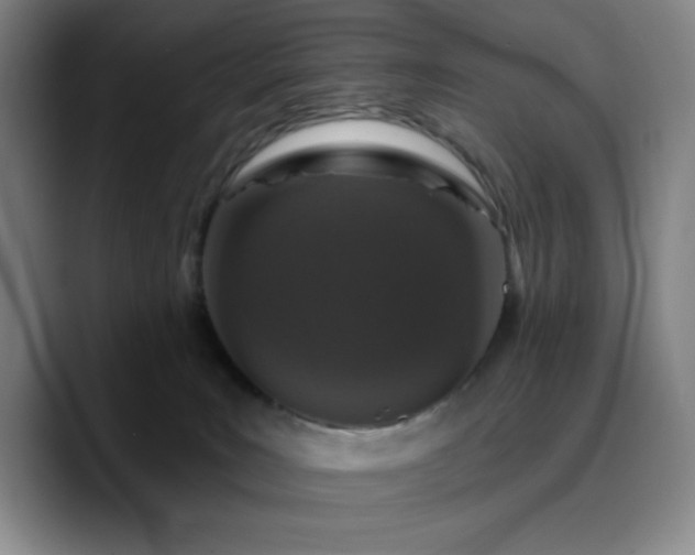 X0000090730035200707201418