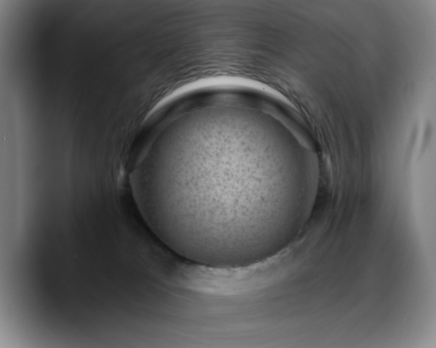 X0000090730037200707201418