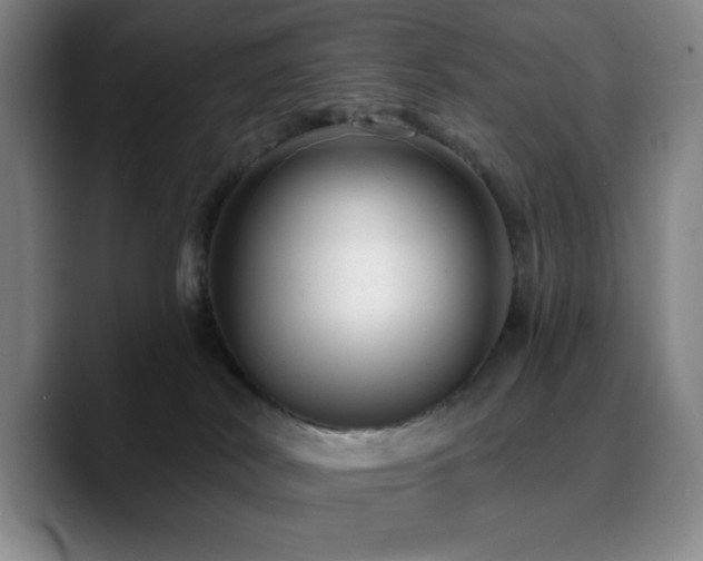 X0000090730038200707201417