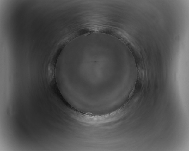 X0000090730043200707201417