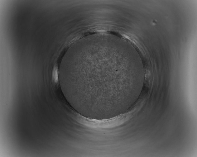 X0000090730046200707201417