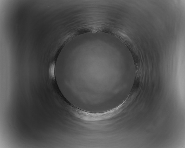 X0000090730047200707201417
