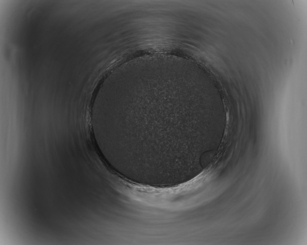 X0000090730048200707201417