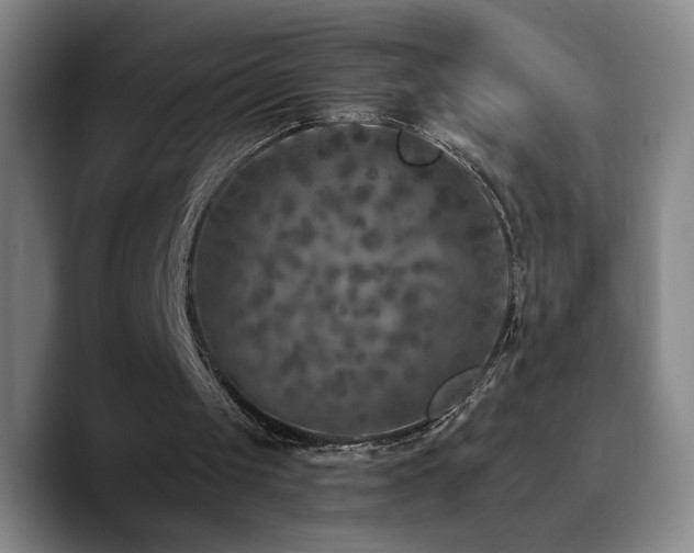 X0000090730049200707201417