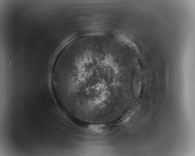 X0000090730051200707201417