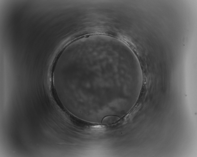 X0000090730053200707201417