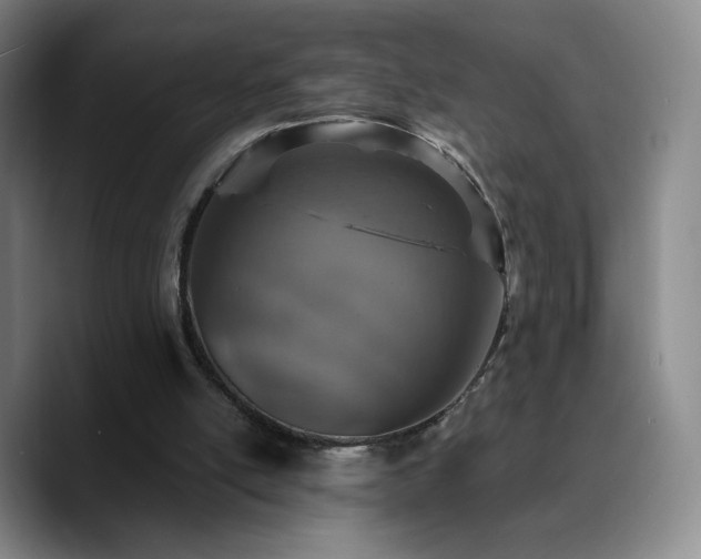 X0000090730054200707201417