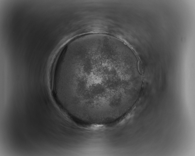 X0000090730055200707201417