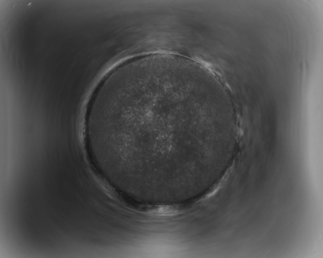 X0000090730056200707201417