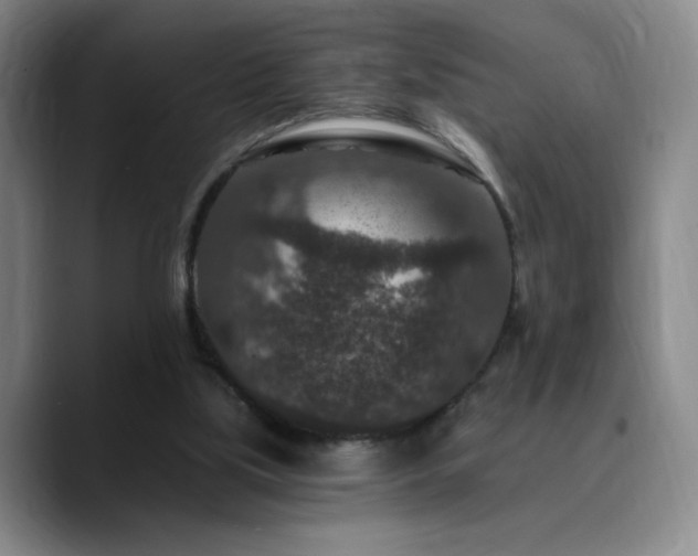 X0000090730059200707201417