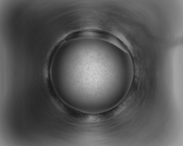 X0000090730060200707201417