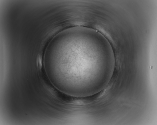 X0000090730062200707201417