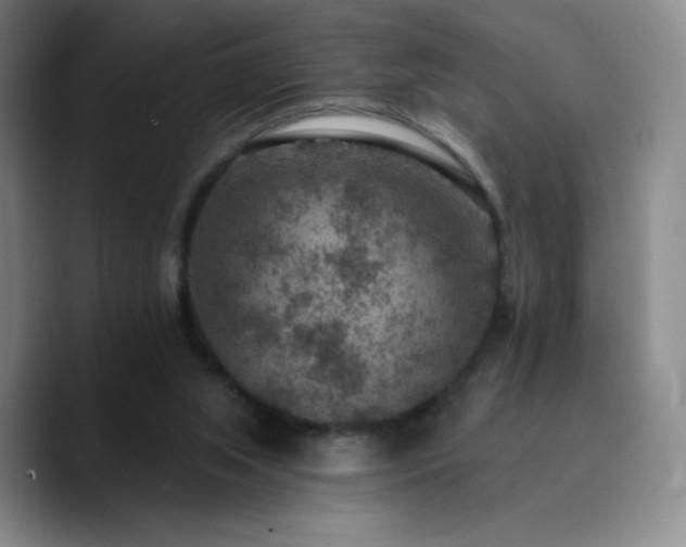 X0000090730063200707201417