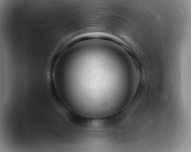 X0000090730064200707201417