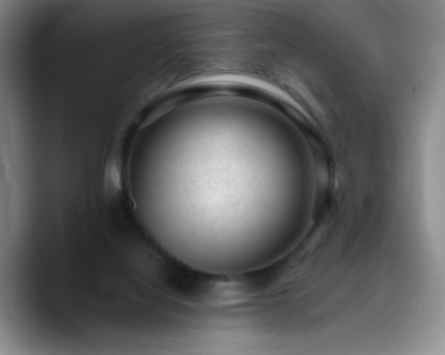 X0000090730068200707201417