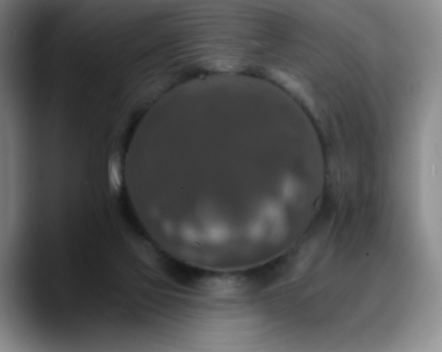 X0000090730069200707201417