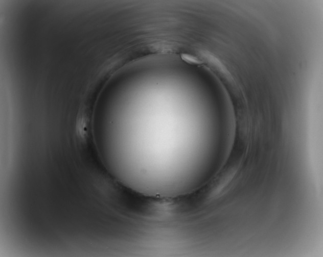 X0000090730071200707201417