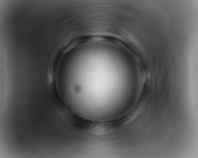 X0000090730072200707201417