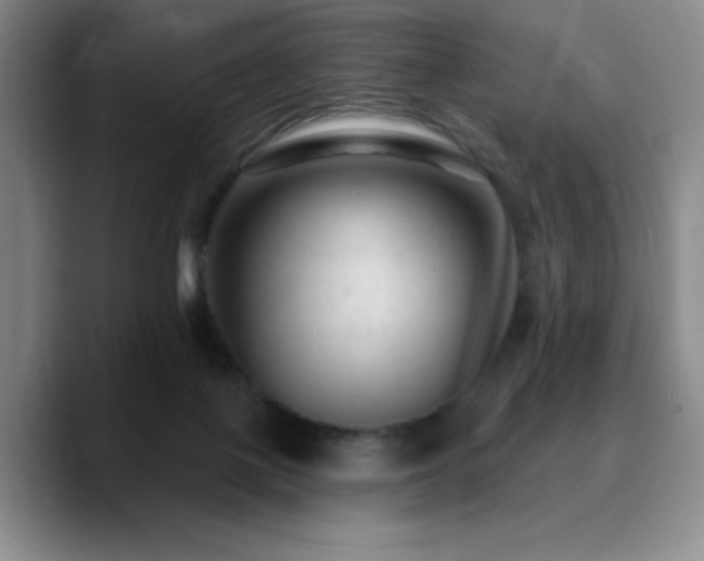 X0000090730075200707201417