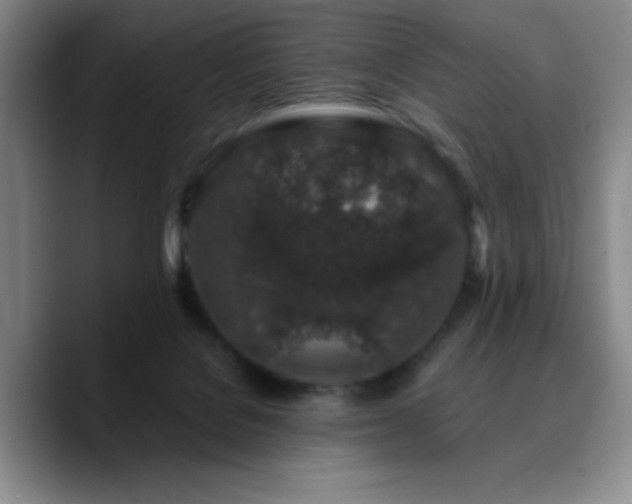X0000090730076200707201417