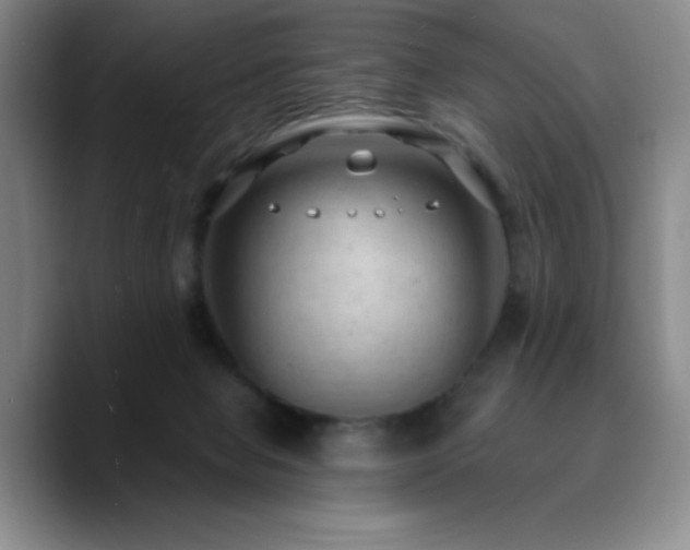 X0000090730077200707201417