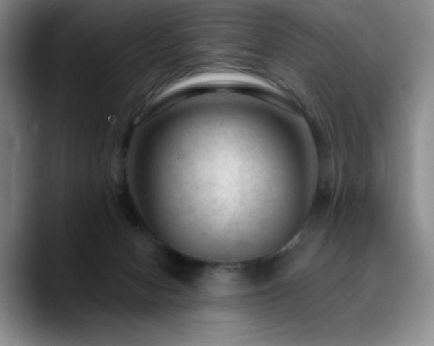 X0000090730078200707201417