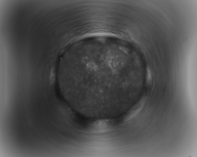 X0000090730080200707201417