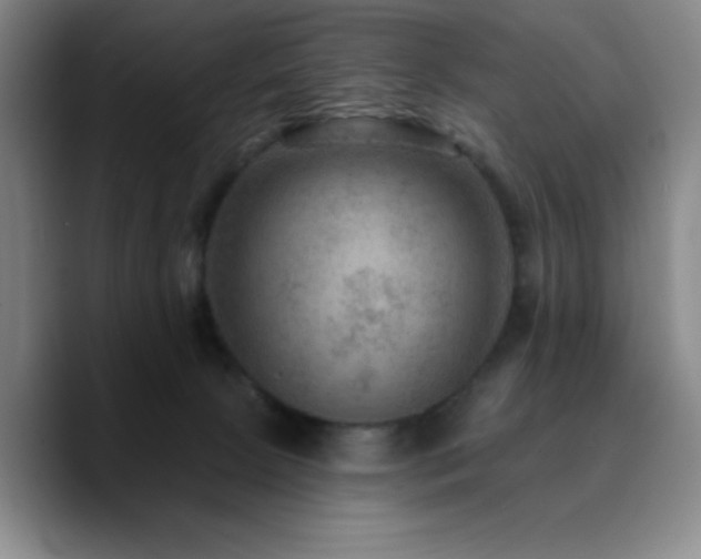 X0000090730081200707201417