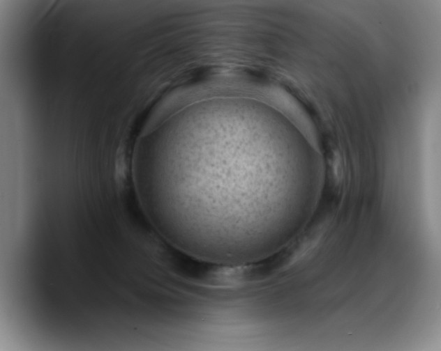 X0000090730084200707201417