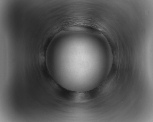 X0000090730085200707201417