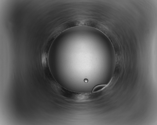 X0000090730094200707201417