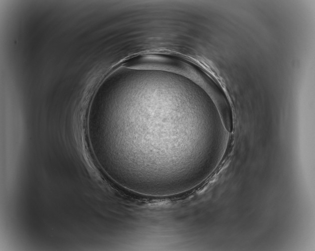 X0000090730097200707201417