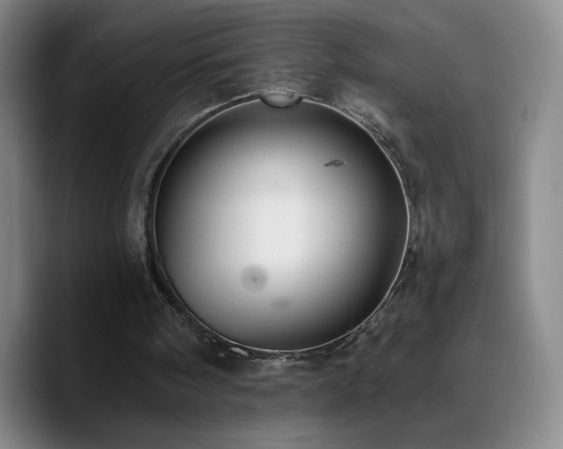 X0000090730098200707201417