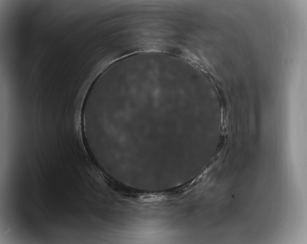 X0000090730099200707201417