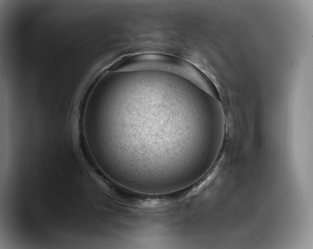X0000090730101200707201417