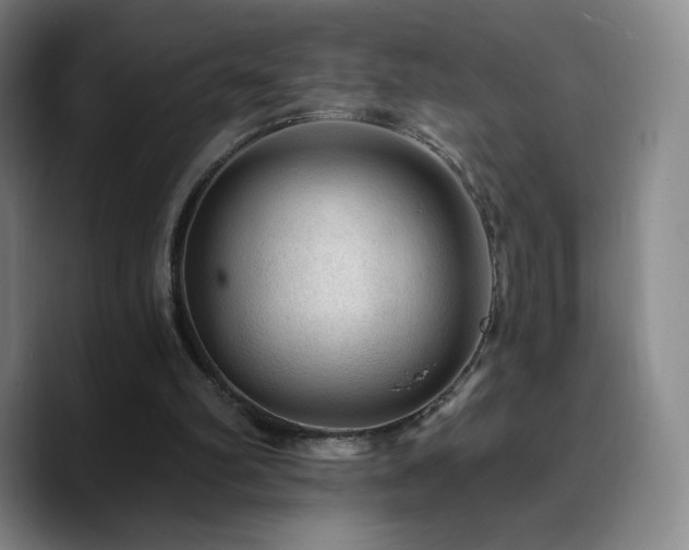 X0000090730102200707201417