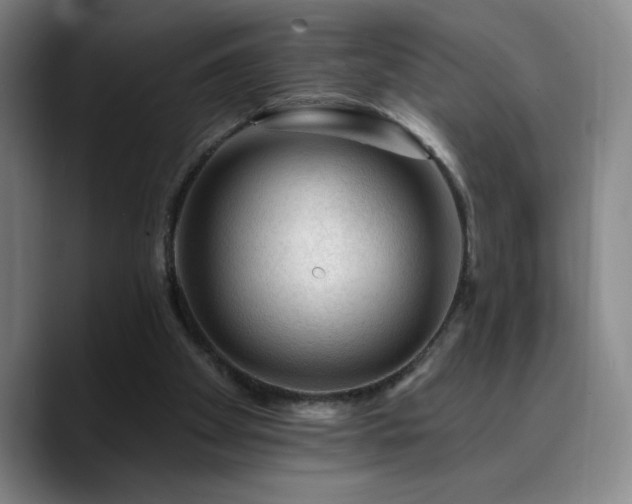 X0000090730105200707201417