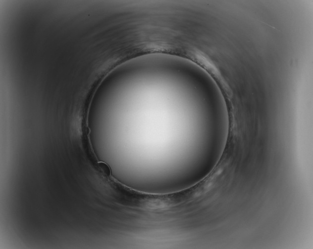 X0000090730106200707201417