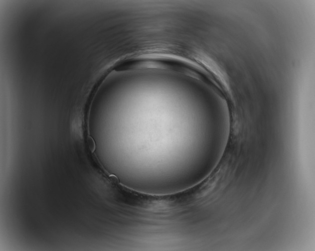X0000090730107200707201417