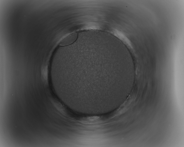 X0000090730108200707201417
