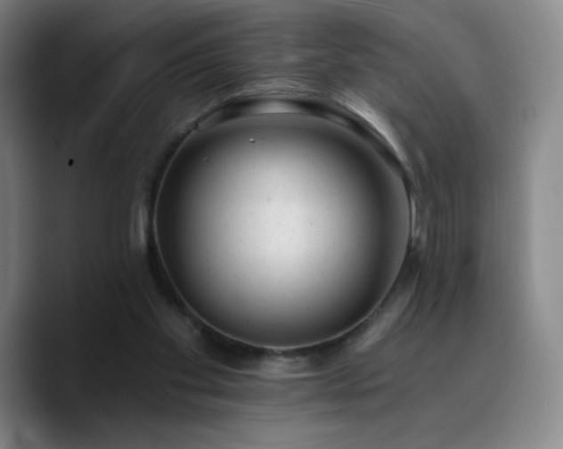 X0000090730109200707201417