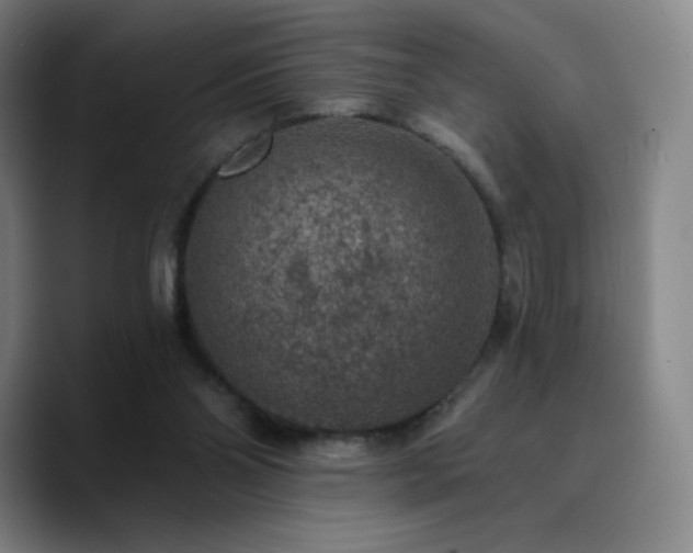 X0000090730110200707201417