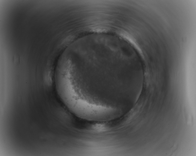 X0000090730114200707201417