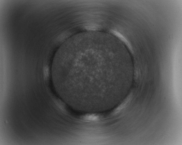 X0000090730117200707201416