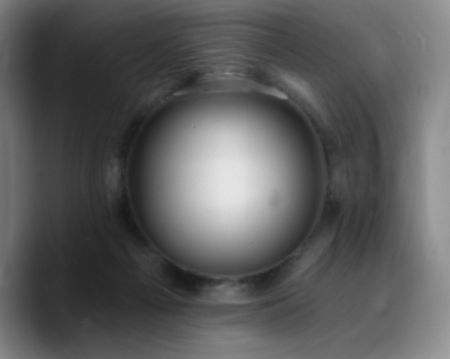 X0000090730121200707201416